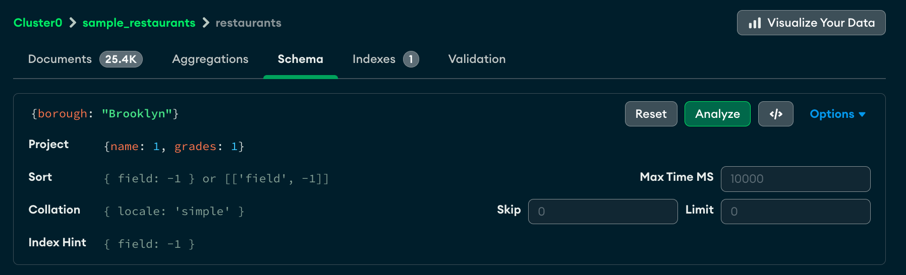 Query bar schema view